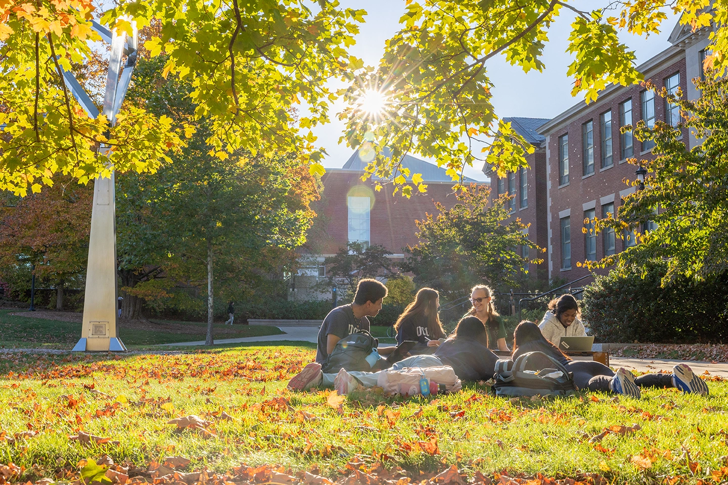 Group of students sitting on lawn.